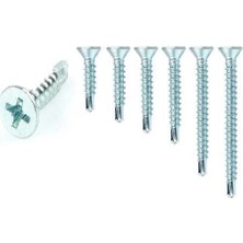 Nacario Mey Ithalat® Yhb Matkap Uçlu Akıllı Vida 4,8X38 ( 10 Adet )