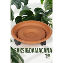 Senka Turk Tekerlekli Saksı Altığı 37 cm Kahve