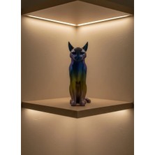 Nacario Mey Ithalat® Koyu Rainbow Kedi