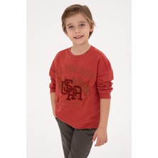 U.S. Polo Assn. Erkek Çocuk Gül Kurusu Bisiklet Yaka Sweatshirt 50308518-VR026