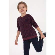 U.S. Polo Assn. Erkek Çocuk Bordo Bisiklet Yaka Sweatshirt 50308599-VR177