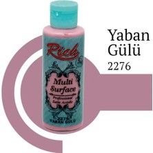 Nacario Mey Ithalat® Rich Multi Surface 2276 Yaban Gülü Akrilik Boya 120 cc