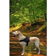 MarkEntegra Büyük Irk Köpek Için Rahat Eğitim Göğüs Tasması