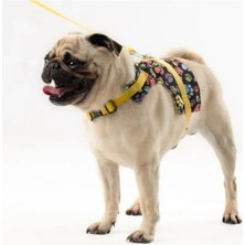 MarkEntegra Ayarlanabilir Kaçış Önleyici Köpek Göğüs Tasma Seti, Sarı