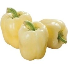 MarkEntegra Beyaz Dolmalık Biber Tohumu - 3 Gram