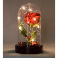 Pileli Store Fanusta LED Işıklı Kırmızı Gül ve Mini Ayıcık Set Sevgiliye Hediye 01A
