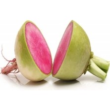 MarkEntegra Kaliteli Kırmızı Beyaz Turp Tohumu - 5 Gram