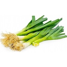 MarkEntegra Pırasa Tohumu - 5 Gram