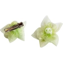 MarkEntegra Açık Yeşil Renk, Pensli Toka, Kedi ve Küçük Irk Köpekler Için