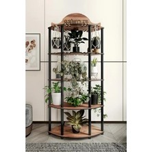 MarkEntegra 3 kg Akvaryum Taşı, 5-10 mm Pomza Taşı ve Volkanik Cüruf