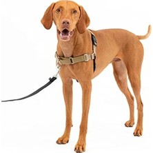 MarkEntegra Easy Walk Köpek Koşum Takımı