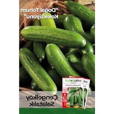 MarkEntegra 250 Adet Çengelköy Salatalık Tohumu