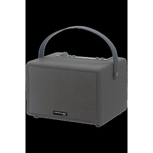 Pileli Store Pilelistore   F31 50W Sürücülü 2 Adet Mikrofonlu Bt 5.2 Kablosuz Hoparlör - Siyah