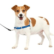 MarkEntegra Pratik Köpek Koşum Takımı, Rahat Yürüyüş Deneyimi Sunar