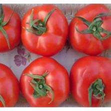 MarkEntegra Tane Salkım Domates Tohumu - 2274-3 Gram