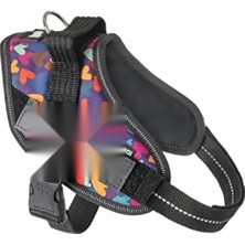 MarkEntegra Mini Beden Köpek Göğüs Takımı - Karışık Kalp Desenli