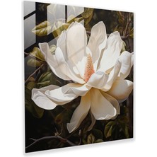 Popcasso Magnolia Çiçeği Cam Tablo Modern Sanat Duvar Dekorasyonu