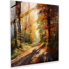 Popcasso Rustik Ülke Yolu Sonbahar Manzarası Temperli Cam Tablo Uzun Ağaçlar