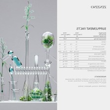 Cekar Store Balance Oil+ 100 ml - Portakal Limon Nane - Yeni Nesil Balık Yağı