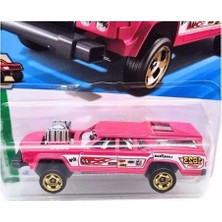Cekar Store Hot Wheels Tekli Arabalar Cruıse Bruıser HYX34