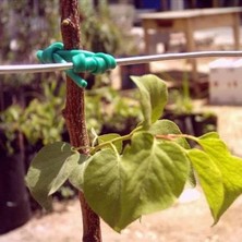 Cekar Store Fidan Bağlama Ipi 3.5 mm 220 mt 2.5 kg