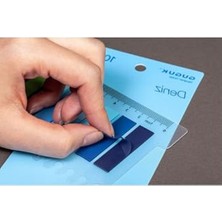 Cekar Store Deniz 10 Renkli Cetvelli Şeffaf Pet Index • Index Sticker • Post-It • Sticky Note