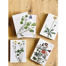 Cekar Store Fark Tanıtım Özel Tasarım Baskılı Kapaklı A5 Çizgili Not Defteri - 180 Derece Açılabilir, Sırtı DIKIŞLI,%100 El Işçiliği, Ofis Için Ideal, Planlayıcı (Hieracium Pilosella Kapak Tasarımı)