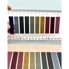 Cekar Store 10 Renkli Cetvelli Retro Renkler Şeffaf Pet Indeks Sticker/index/postit/kitap Ayracı/not Kağıdı