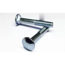 Renas Store Kasa Civata 1/4X30 - 20 Adet