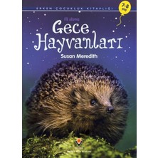 Lisinya Ilk Okuma - Gece Hayvanları