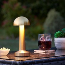 Renas Store Dekoratif LED Masa Lambası MZ-327