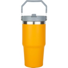 Globox Termos Sarı 650 Ml Bs258-1