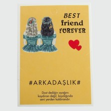 LTG Nova 3'lü Arkadaşlık Bileklik Kartı