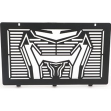 Cf Moto 250 Nk 2025 Uyumlu Radyatör Koruma Demiri