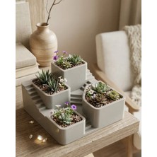 Astraltech Kaktüs Saksı Seti Gri