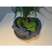 Mays 3D Studio 3D Baskı Ejderha Saksı – Dekoratif Bonsai Saksısı – Fantastik Tasarım Masa Üstü Saksı