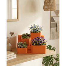 Karahanbey 3D Çok Bölmeli Kaktüs Saksı Seti Dekoratif Masaüstü Sukulent Standı -