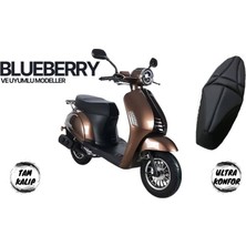 Prohes PH-885 Konfor Kılıf Blueberry