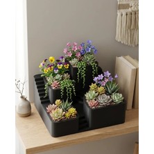 Astraltech Kaktüs Saksı Seti Siyah