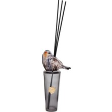 Missi Kendi Kokunu Seç-Bird Collection Siyah Slim Cam Çubuklu Difüzör (Esanssız)