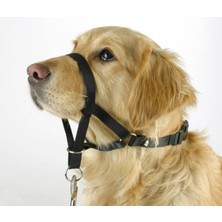 Kerbl Köpek Eğitim Tasması Maxi Coach 24 cm Den Küçük -Xs