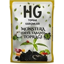 Hg Monstera (Deve Tabanı) Toprağı