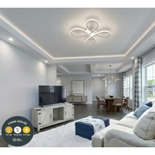 Lzy Avize Store Daisy Plafonyer 4’lü Beyaz Avize 3 Renkli – Modern Salon, Mutfak, Çocuk Odası, Antre Aydınlatma