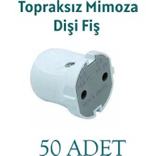 Orel Topraksız  Mimoza Dişi Fiş 50 Adet