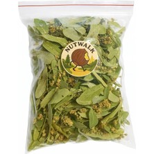 Nutwalk Doğal Ihlamur 52 gr – Taze Kurutulmuş, Yüksek Aromalı Bitki Çayı