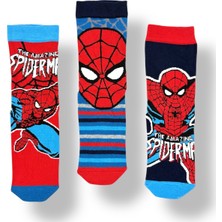 Marvel Spiderman Lisanslı Erkek Çocuk 3 Çift Soket Çorap 21559