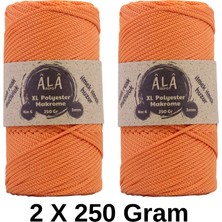 Ala Depo 2 Adet Xl Polyester Makrome No:6 (Kalın) Çanta Ipi 2X250 Gram (Toplam 500 Gram)