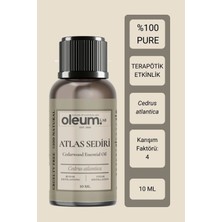 Oleum Lab ATLAS SEDİRİ UÇUCU YAĞI 10 ML %100 PURE