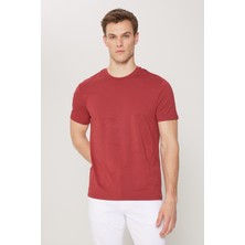 Altınyıldız Classics Standart Fit Normal Kesim Bisiklet Yaka Pamuklu Tişört