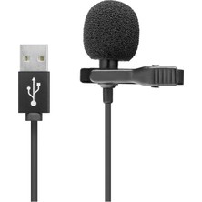 Skygo İlgisayar Mikrofonu Usb 1.5M Siyah HD569
